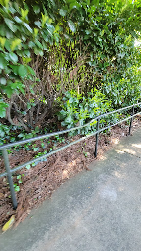 History Museum «Gone With the Wind Museum», reviews and photos, 18 Whitlock Ave NW, Marietta, GA 30064, USA