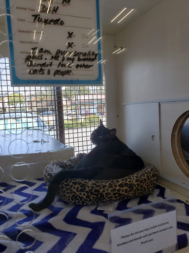 Pet Supply Store «Petco Animal Supplies», reviews and photos, 537 N Pacific Coast Hwy, Redondo Beach, CA 90277, USA