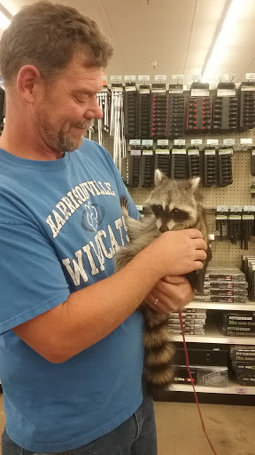 Hardware Store «Harbor Freight Tools», reviews and photos, 1735 E North Ave, Belton, MO 64012, USA