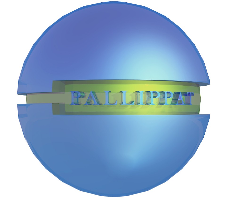 Pallippat Builders