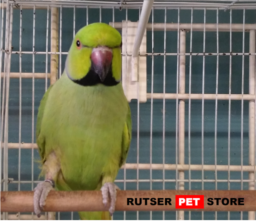 Pet Supply Store «Rutser Pet Store», reviews and photos, 5418 E Beverly Blvd, East Los Angeles, CA 90022, USA