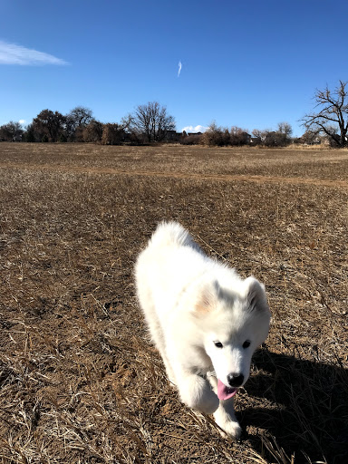 Dog Park «Trail Winds Dog Park», reviews and photos, 13385 Holly St, Thornton, CO 80241, USA