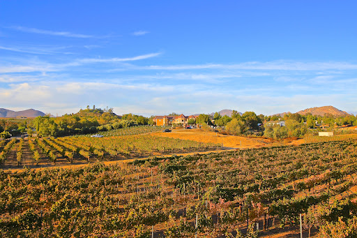 Wine Country Temecula Homes For Sale