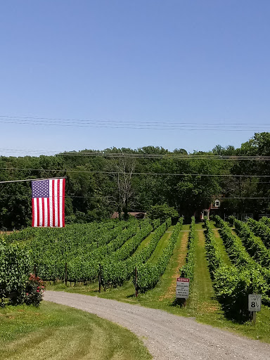 Winery «Casanel Vineyards», reviews and photos, 17956 Canby Rd, Leesburg, VA 20175, USA