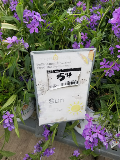 Home Improvement Store «The Home Depot», reviews and photos, 1315 US-19, Holiday, FL 34691, USA