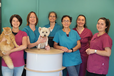 Clinique vétérinaire Saint Nicolas à Coulaines