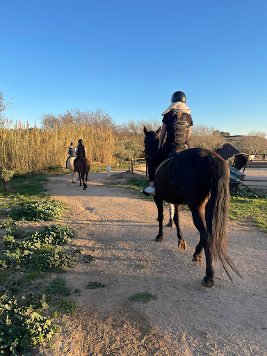Club Hípic Renau en Renau, Tarragona