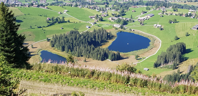 Seichbergloch (Höhleneingang) - Buchs