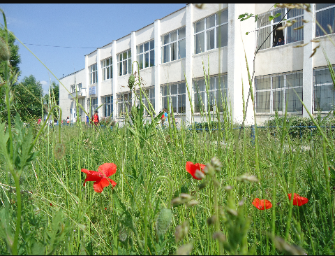 Școala Gimnazială „Ion Țuculescu” - Școală