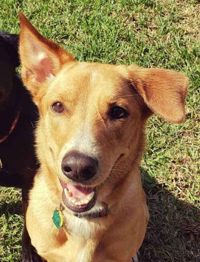 Explore kingdom hearts tattoo ideas, creative tattoo ideas in Sarasota, available at Z-Edge Tattoo and Body Piercing North Shop