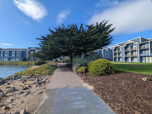 Hotel «DoubleTree by Hilton Hotel Berkeley Marina», reviews and photos, 200 Marina Blvd, Berkeley, CA 94710, USA