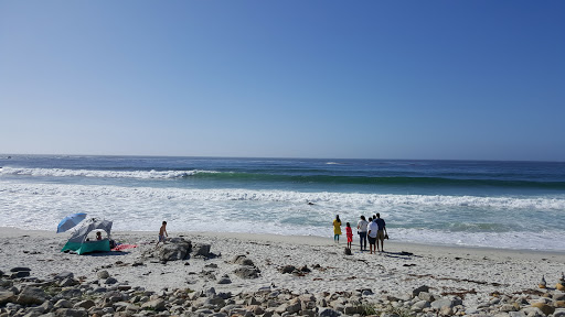 Event Venue «Shoreline Amphitheatre», reviews and photos, 1 Amphitheatre Pkwy, Mountain View, CA 94043, USA