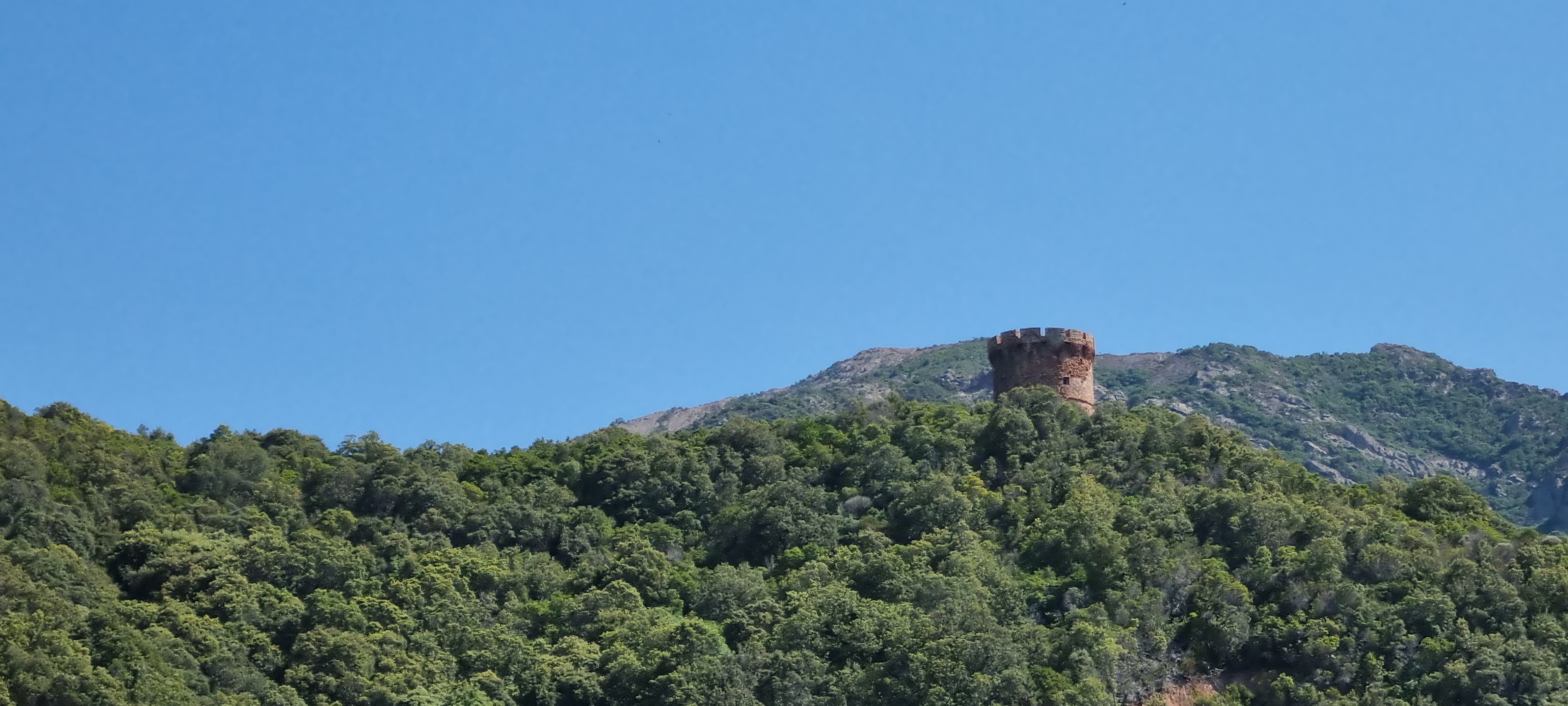 Photo n° 21 de l'avis de Rodrigo.a fait le 24/06/2022 à 15:11