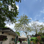 Photo n°1 de l'avis de Letizia.i fait le 08/05/2022 à 16:06 sur le  Trattoria Pizzeria Schioccapalle à Sambuca