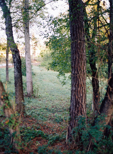 Wedding Venue «Tate House | Georgia Estate Wedding Venue», reviews and photos, 61 Georgia Marble Rd, Tate, GA 30177, USA