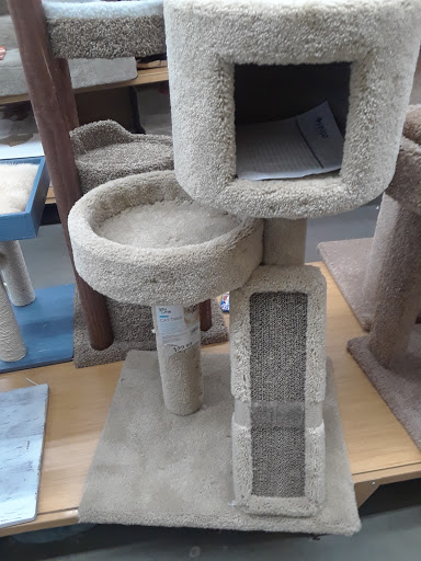 Pet Supply Store «Petland Discounts - City Line», reviews and photos, 1127 Liberty Ave, Brooklyn, NY 11208, USA