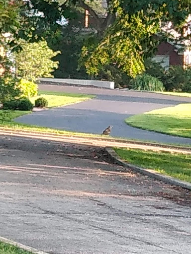 Golf Club «NCR Country Club», reviews and photos, 4435 Dogwood Trail, Kettering, OH 45429, USA