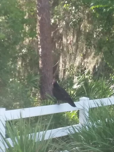 Community Center «Meadow Pointe III Clubhouse», reviews and photos, 1500 Meadow Pointe Blvd, Wesley Chapel, FL 33543, USA