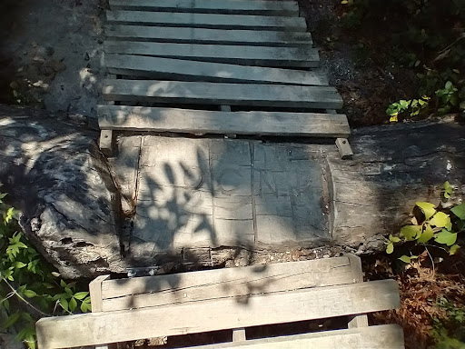 Nature Preserve «Oak Cliff Nature Preserve», reviews and photos, 2875 Pierce Street, Dallas, TX 75233, USA