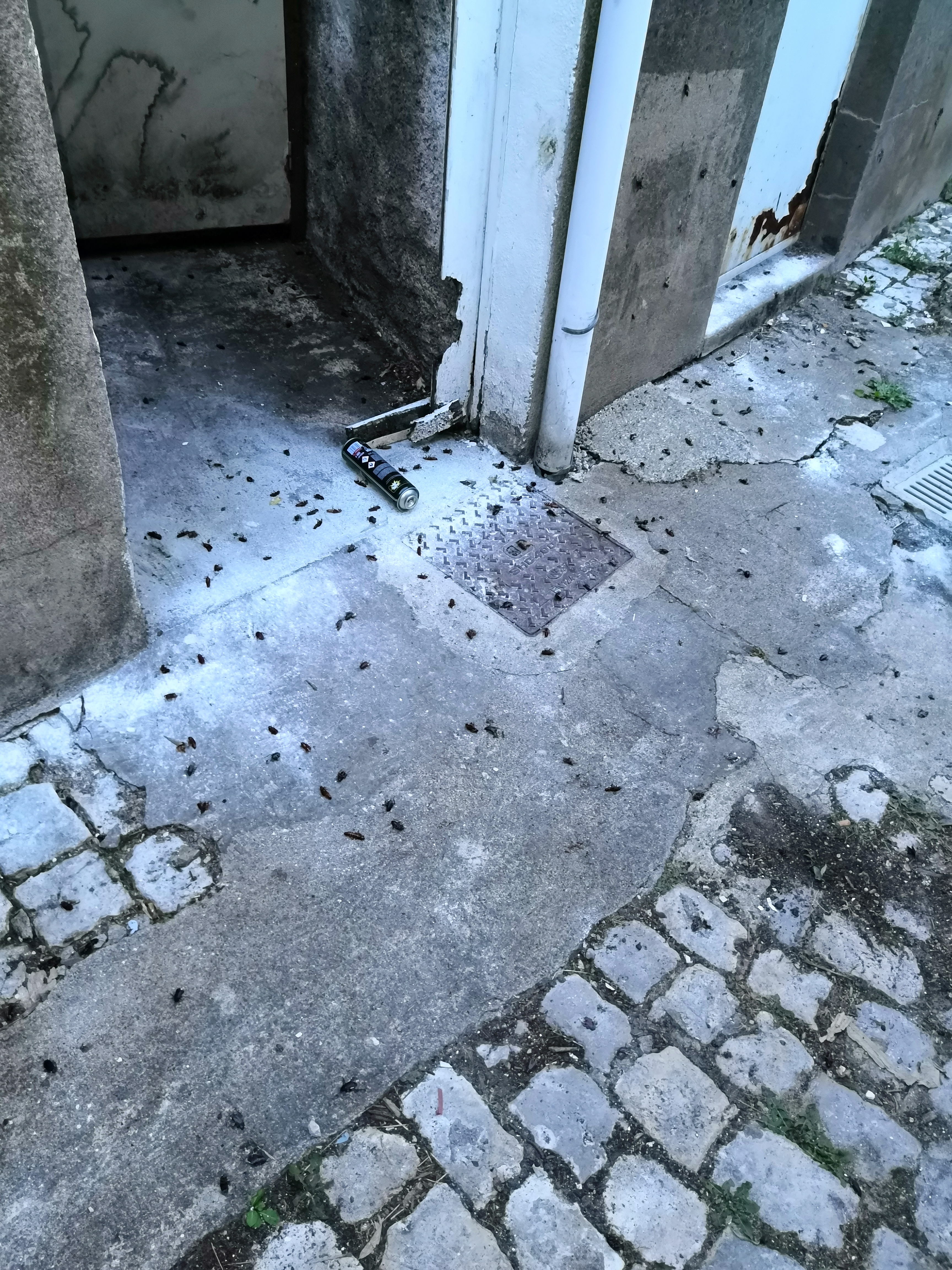 Photo n° 2 de l'avis de V. fait le 09/07/2019 à 04:11