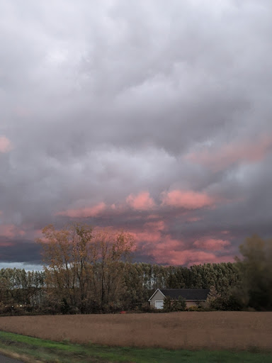 Country Club «Pebblewood Country Club», reviews and photos, 9794 Jericho Rd, Bridgman, MI 49106, USA