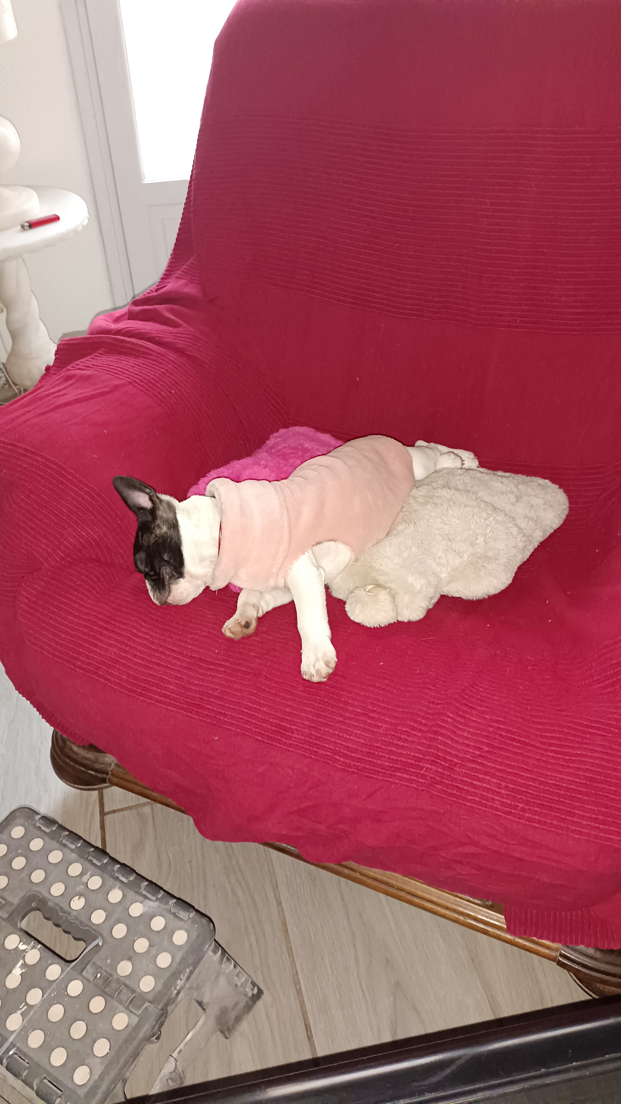 Photo n° 1 de l'avis de Sylvie.o fait le 06/12/2023 à 22:27