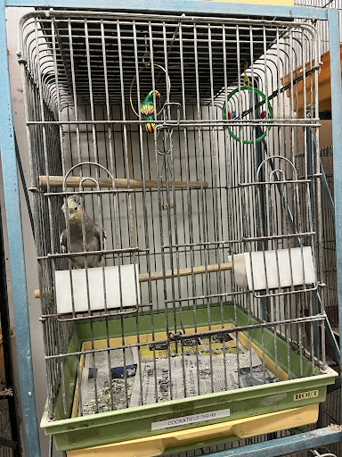 Tropical Fish Store «Midway Tropical Fish & Pets», reviews and photos, 24101 Pacific Hwy S, Kent, WA 98032, USA