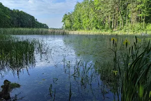 Zalew Zemborzycki - "Rękaw" image