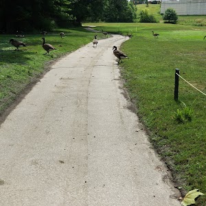 Ottawa Park - photo 93