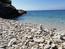 Plovanije beach'in fotoğrafı vahşi alan