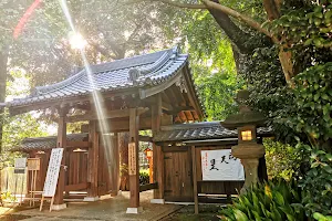 Todoroki Fudōson Temple image