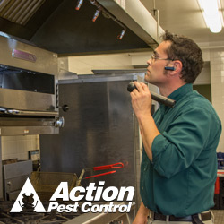 Pest Control Service «Action Pest Control», reviews and photos