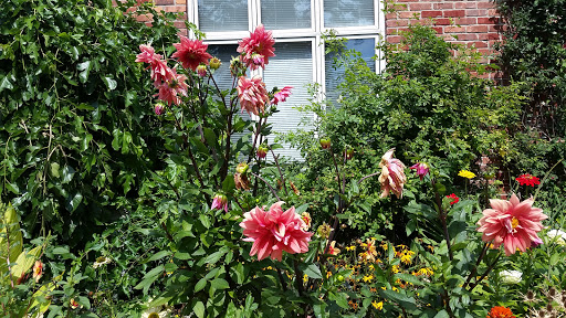 Performing Arts Theater «New Phoenix Theatre On The Park», reviews and photos, 95 Johnson Park, Buffalo, NY 14201, USA