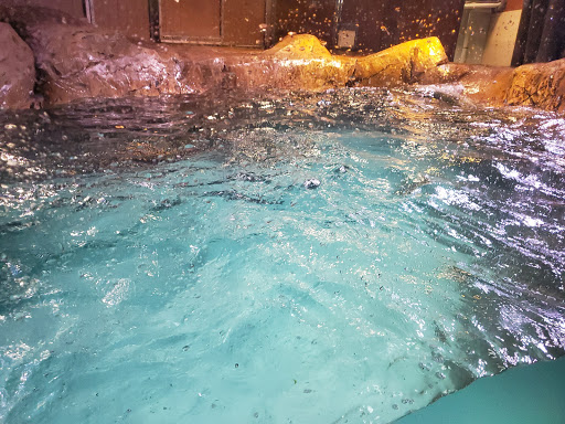 Aquarium «Georgia Aquarium», reviews and photos, 225 Baker St NW, Atlanta, GA 30313, USA