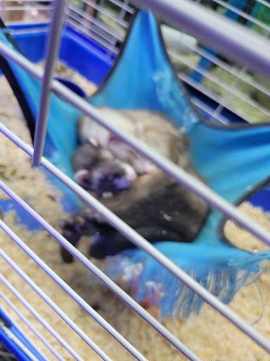 Tropical Fish Store «Emmons Tropical Fish & Ponds», reviews and photos, 1612 Hopmeadow St, Simsbury, CT 06070, USA