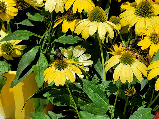 Home Improvement Store «The Home Depot», reviews and photos, 5455 Fairmont Pkwy, Pasadena, TX 77505, USA