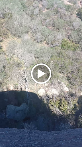 Dollar Store «Dollar Tree», reviews and photos, 846 E Valley Blvd, Alhambra, CA 91801, USA