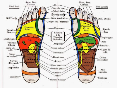 Shiatsu Réflexologie à Paris