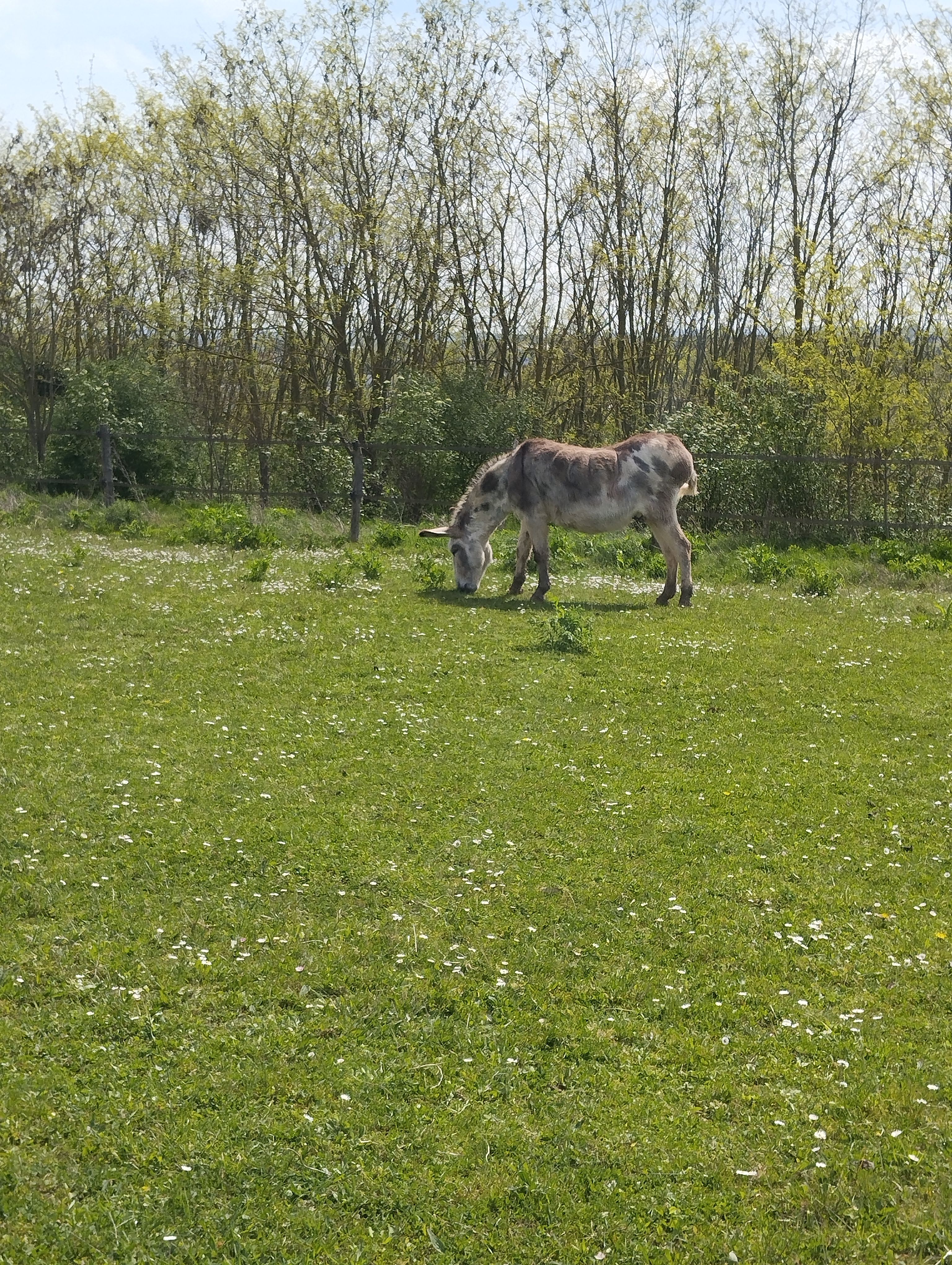 Photo n° 1 de l'avis de Sandra.o fait le 12/04/2024 à 18:49