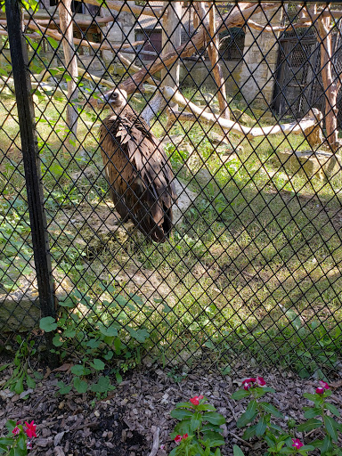 Zoo «Sunset Zoo», reviews and photos, 2333 Oak St, Manhattan, KS 66502, USA