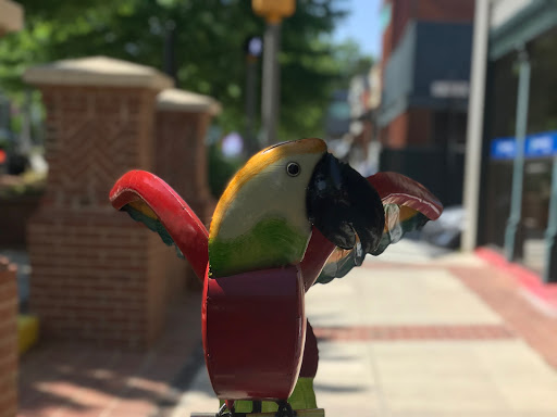 Gift Shop «Blue Frog Imports», reviews and photos, 8608 Main St, Woodstock, GA 30188, USA