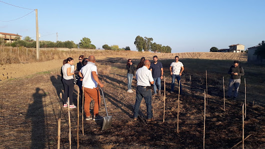 Istituto Professionale Servizi per l'Agricoltura e lo Sviluppo Rurale di Cutro Contrada Scarazze, Italia