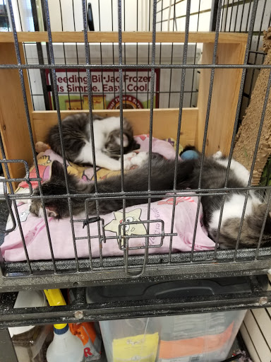 Pet Supply Store «Pet Supplies Plus», reviews and photos, 7315 Mentor Ave, Mentor, OH 44060, USA