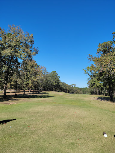 Golf Club «Holly Lake Ranch Golf Club», reviews and photos, 210 Golf Drive, Holly Lake Ranch, TX 75765, USA