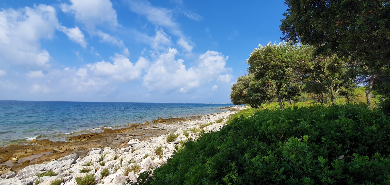 Photo de Dragonera beach zone sauvage
