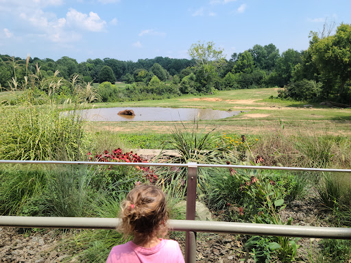 Zoo «North Carolina Zoo», reviews and photos, 4401 Zoo Pkwy, Asheboro, NC 27205, USA