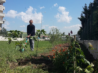Büyükçekmece Tepecikspor Futbol Akademisi