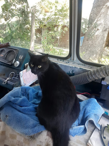 7925 Pedrick Rd, Dixon, CA 95620, USA