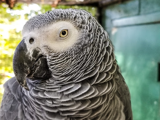 Zoo «Kentucky Down Under Adventure Zoo», reviews and photos, 3700 L and N Turnpike Rd, Horse Cave, KY 42749, USA