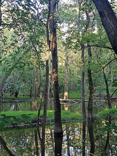 Nature Preserve «Harms Woods», reviews and photos, Harms Rd, Glenview, IL 60025, USA